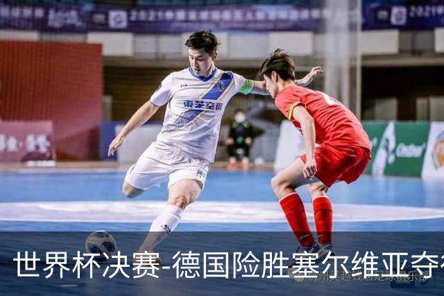 世界杯决赛-德国险胜塞尔维亚夺得世界杯冠军