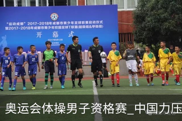 奥运会体操男子资格赛 中国力压日本排名第一晋级